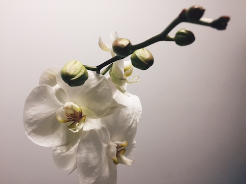 Processed with VSCOcam with hb2 preset